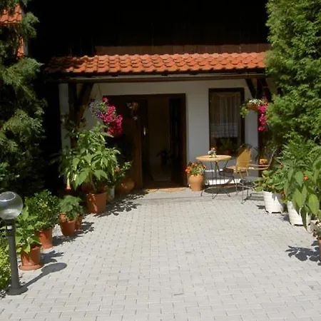 Apartman Kolisko *