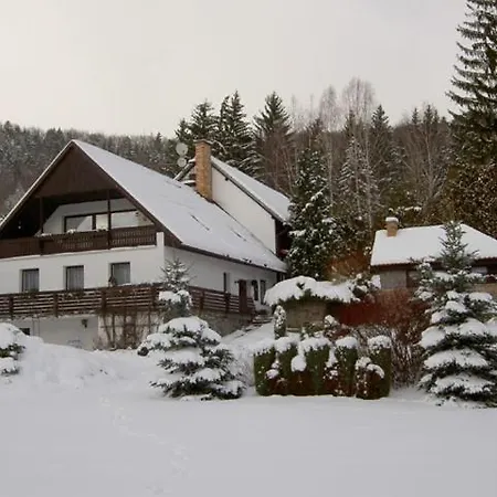 Apartman Kolisko