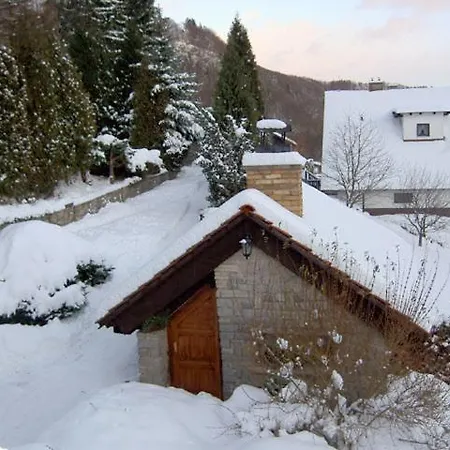 Apartman Kolisko * Stárkov